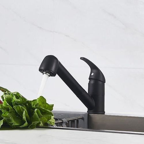 Mitigeur évier de cuisine - Noir mat - Bec orientable - Cartouche céramique Ř 40 mm - EDOUARD ROUSSEAU - Bago