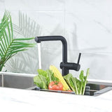 Mitigeur évier - Noir mat - Bec orientable - EDOUARD ROUSSEAU - CARRÉ