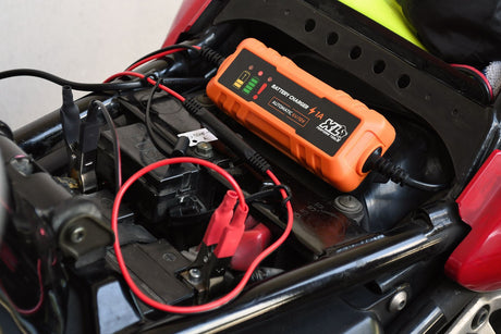Chargeur batterie auto - XLPT - 1A - 20W - 12V - 3 m - Inclus câble détachable avec cosses a oeillet et crocodile