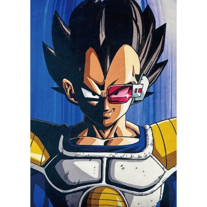 Coussin double face - Carré - DRAGON BALL Z - Goku et Vegeta - Microfibre - 40 x 40 cm