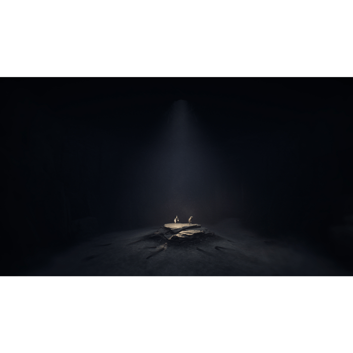 Reanimal  Jeu Nintendo Switch 2