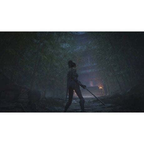 WUCHANG: Fallen Feathers - Jeu PS5