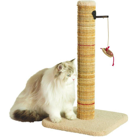 Poteau griffoir chat - ZOLUX - Sisal - Avec jouet suspendu - 60 cm - Boréal - Beige