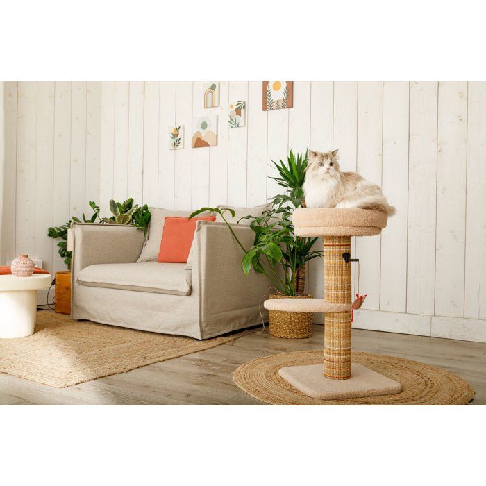 Arbre a chat griffoir - ZOLUX - Stable - Espace de repos - Jeu souris - Sisal - 70 cm - Boréal - Beige
