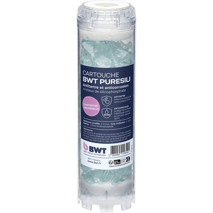 Pack cartouches annuel - BWT - ARCTIC 20 µm + PURESILI - Anti-impuretés + antibactérien
