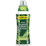 Engrais plantes vertes - ALGOFLASH - Plantes vertes & Ficus - 500 ml - UAB
