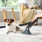 Nettoyeur détacheur - DOMO DO250SC - 600 W - 15 000 Pa - 1,3 L - Bleu / Noir