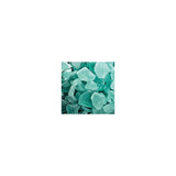 Cartouche antitartre - BWT - PURESILI - Cristaux silicophosphates - Antitartre jusqu'a 100 °C - Anticorrosion jusqu'a 180 °C