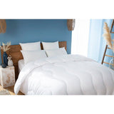 ABEIL Lot de 2 Oreillers moelleux ICEBERG 60x60cm