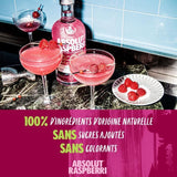Absolut - Raspberri - Vodka aromatisée - 38,0% Vol. - 70cl