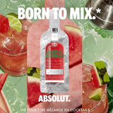 Absolut - Watermelon - Vodka aromatisée - 38,0% Vol. - 70cl