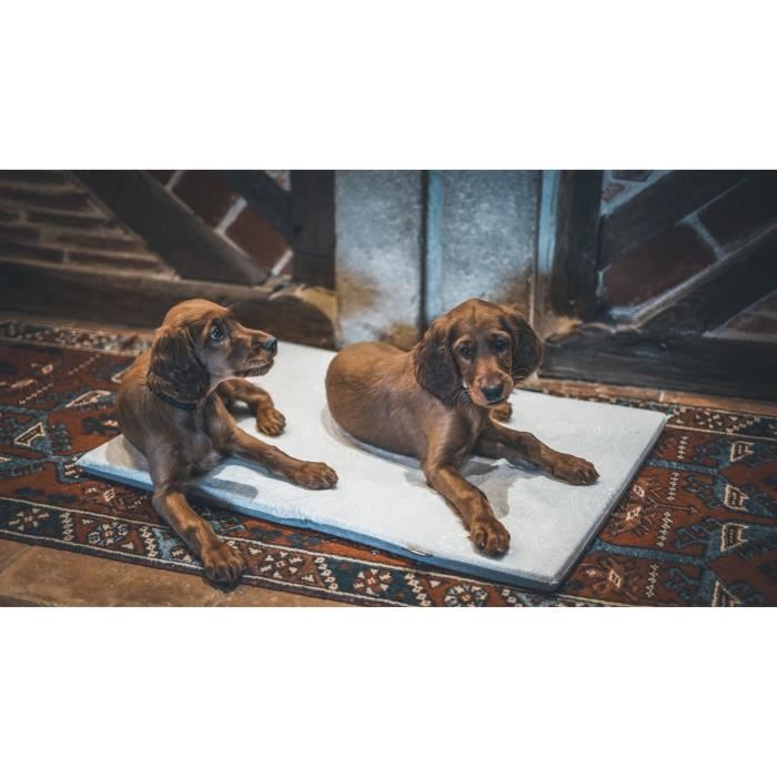 Couchage pour chien - AIME - Tapis plat - Taille L - 80 x 60 x 3 cm