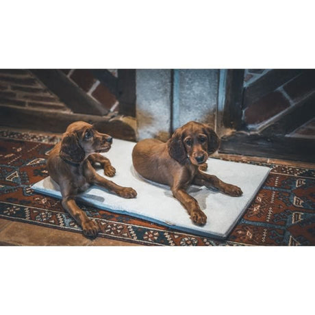 Couchage pour chien - AIME - Tapis plat - Taille L - 80 x 60 x 3 cm
