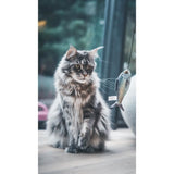Jouet chat - AIME - Canne a peche poisson - Stick bois, poisson 15cm