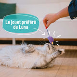 7 jouets pour Chat - AIMÉ