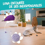 7 jouets pour Chat - AIMÉ