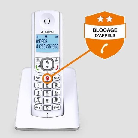 Téléphone sans fil - ALCATEL - F530 - Solo Gris
