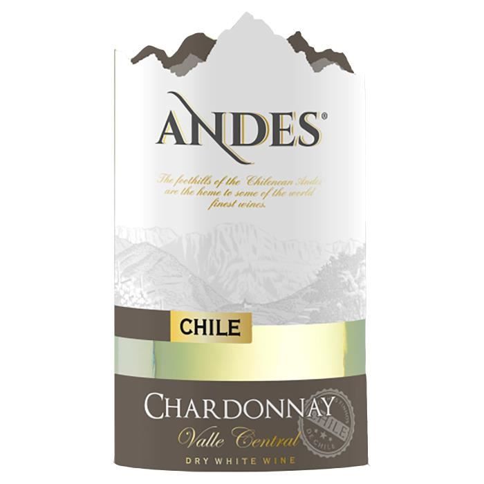 Andes Valle Central 2021 Chardonnay - Vin blanc du Chili