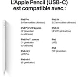 Stylets pour tablette Apple Pencil (USB-C)