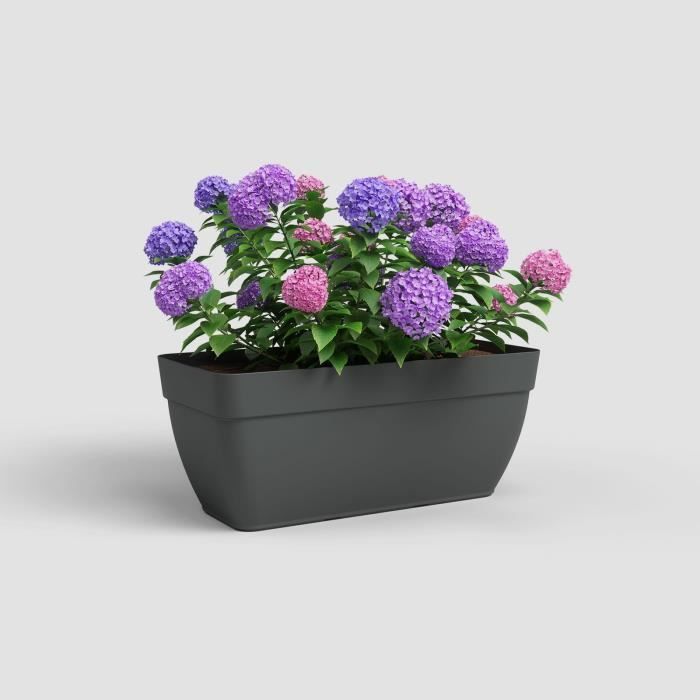 Jardiniere CAPRI CAMPANA XL - Plastique - 80 cm - Anthracite - ARTEVASI