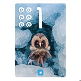 Pixies le jeu de societe