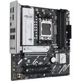 Carte mere - ASUS - PRIME B840M-A-CSM - AMD B840 - Emplacement AM5 micro ATX