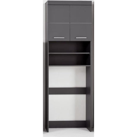 Meuble pour machine a laver - 2 portes - Gris Brillant - L63 x P24 x H187 cm - AMANDA