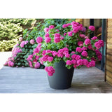 EDA Pot de fleurs rond TOSCANE - 76 L - Ø 60 x H 47 cm - Gris anthracite