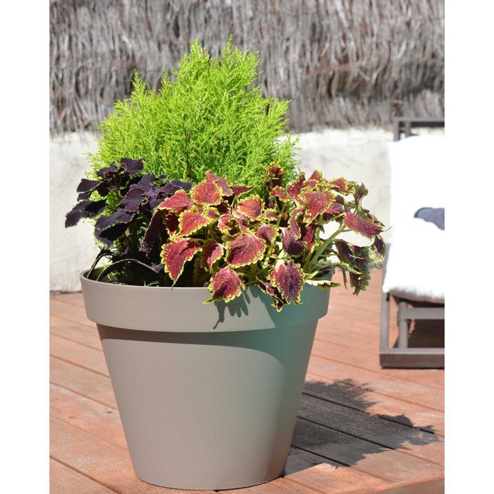 Pot de fleur Rond - Ř 60 cm - EDA - Toscane - 76 L - Intérieur/Extérieur - Ř 60 x H 47 cm - Taupe