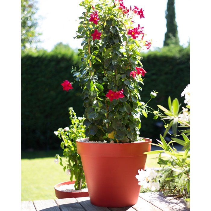 Pot de fleur Rond - Ř 60 cm - EDA - Toscane - 76 L - Intérieur/Extérieur - Ř 60 x H 47 cm - Taupe