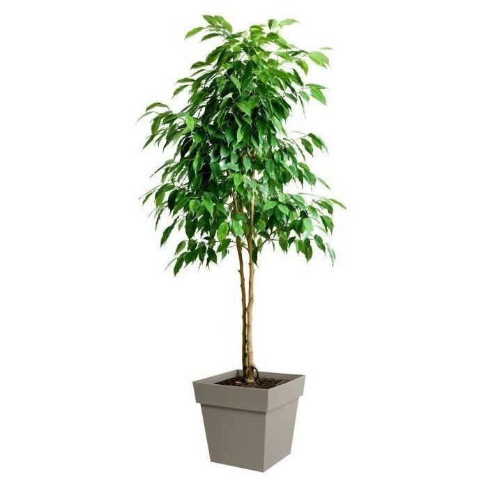Pot de fleur carré - Toscane - EDA - 39 x 39 x H. 39 cm - Intérieur / Extérieur - 38L - Taupe