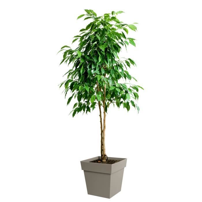 Pot de fleurs Carré 40 cm - EDA - Toscane - 38 L - 39 x 39 x H.39 cm - Taupe