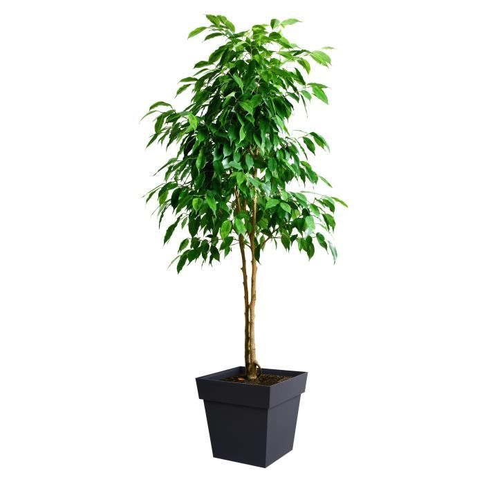 Pot de fleurs Carré 40 cm - EDA - Toscane - 38 L - 39 x 39 x H.39 cm - Gris Anthracite