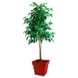 EDA Pot de fleurs carré TOSCANE - 38 L - 39 x 39 x H39cm - Résistant gel et UV - Rouge rubis