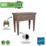 Espace potager sur pieds - EDA - Veg&Table City - 57 L - Table de culture sur pieds -  76 x 38,5 x H. 68 cm - Taupe