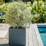 Pot de fleurs carré - EDA - Volcania - 57 L - Intérieur/Extérieur - Décor Pierre - 49,5 x 49,5 x 49,5 cm - Gris Anthracite