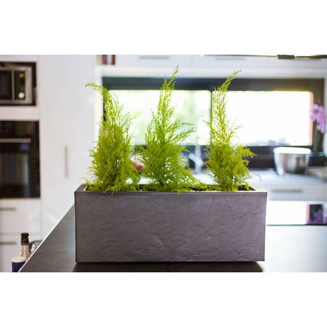 Balconniere - EDA - Volcania Up - 25 L - Intérieur/Extérieur - Décor Pierre - 59 x 19,5 x H. 22,8 cm - Gris Anthracite