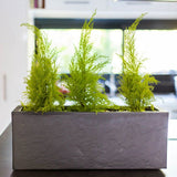 Balconniere - EDA - Volcania Up - 25 L - Intérieur/Extérieur - Décor Pierre - 59 x 19,5 x 22,8 cm - Gris Anthracite