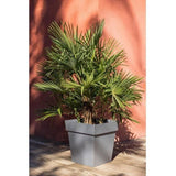 Pot de fleur carré - Toscane - EDA - 49,5 x 49,5 x H.52,5 cm - Intérieur / Extérieur - 87L - Gris Anthracite