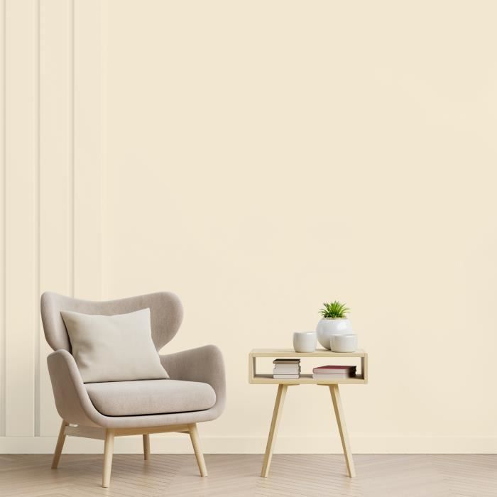 Peinture - RIPOLIN - ESPRIT DECO MULTI-SUPPORTS - Beige Agate - Satiné - 2,5L