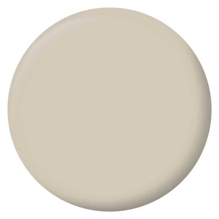 Peinture esprit deco multi-supports - RIPOLIN - 434162 - Beige wes - Satin - 2,5 L