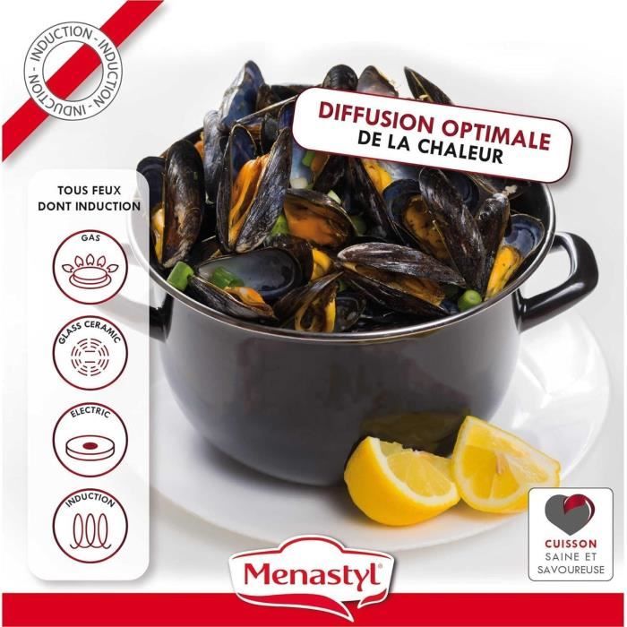 Marmite a moule - MENASTYL - 3645567 - En acier émaillé - Noir - 18 cm - 2,7 litres - Tous feux dont induction