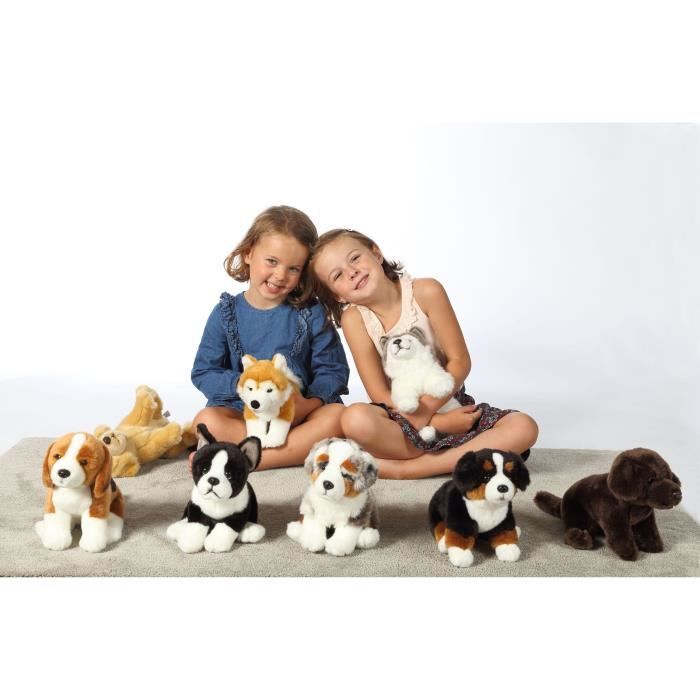 Peluche Chien Beagle†- GIPSY TOYS - Assis,†25 cm