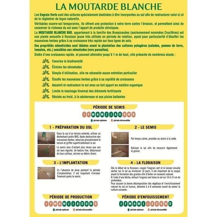 Engrais Verts - BHS - Moutarde Blanche 500g | 100 m² | Améliore et désinfecte les sols pour une meilleure fertilité.