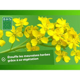 Engrais Verts - BHS - Moutarde Blanche 500g | 100 m² | Améliore et désinfecte les sols pour une meilleure fertilité.