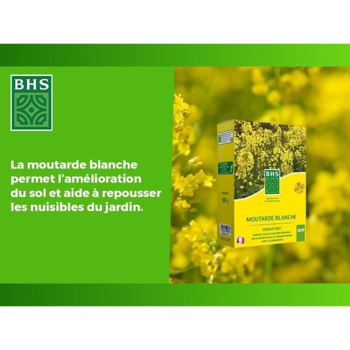Engrais Verts - BHS - Moutarde Blanche 500g | 100 m² | Améliore et désinfecte les sols pour une meilleure fertilité.