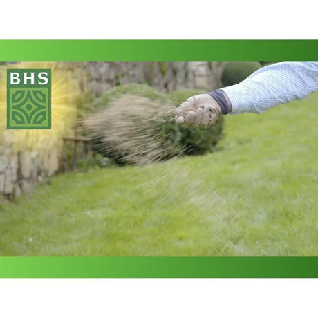 Semence de Gazon - BHS -  Gazon Regarnissage 5kg