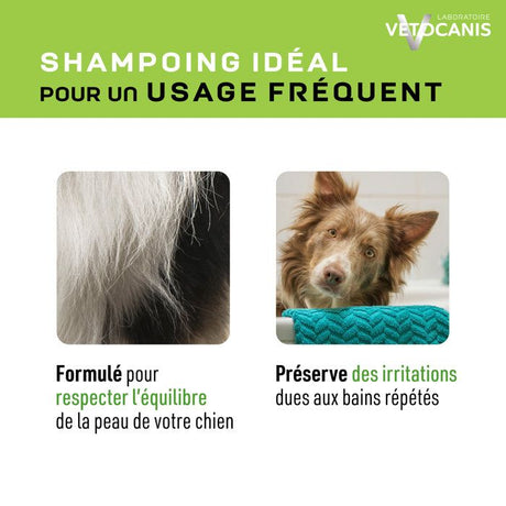 Shampoing chien - VETOCANIS - 300 ml - Hydratant, doux, sans irritation, usage régulier