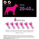 Frontline Tri-Act chien - Anti-puces anti-tiques pour chien L - 20-40kg - 6 pipettes