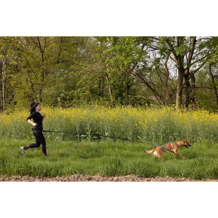 Longe de traction pour chien - CLASSICA - 1.9 m - Chiens jusqu'a 25 kg